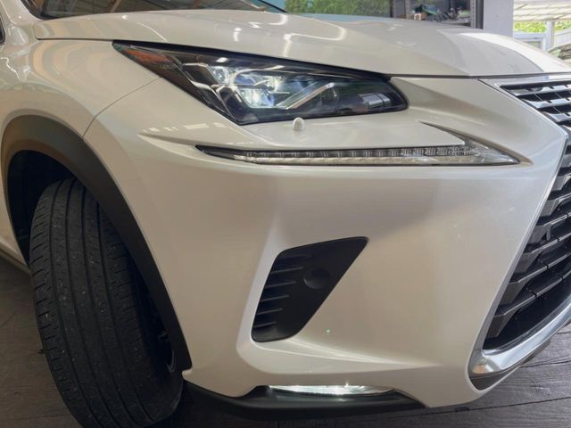 Lexus NX 12