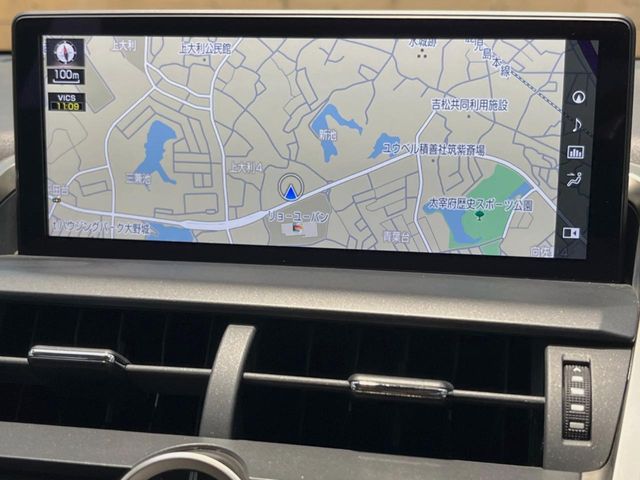Lexus NX 4