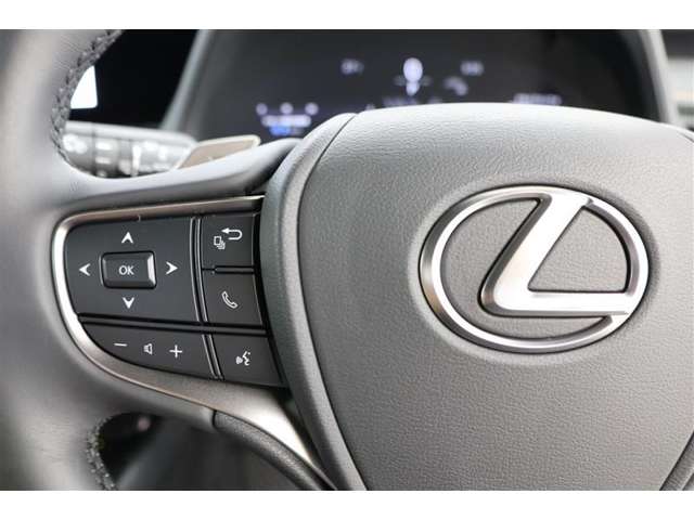 Lexus UX 10