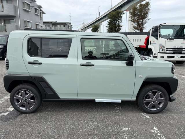 Daihatsu Taft 8