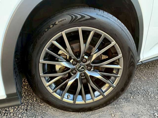 Lexus RX 11