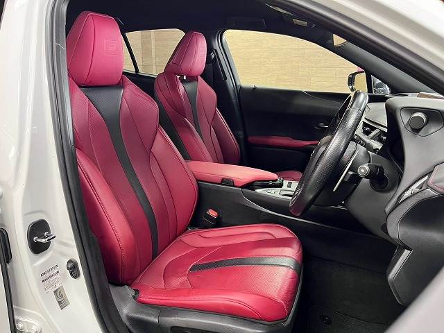 Lexus UX 11