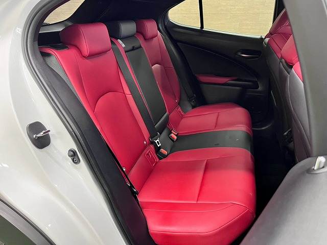 Lexus UX 12