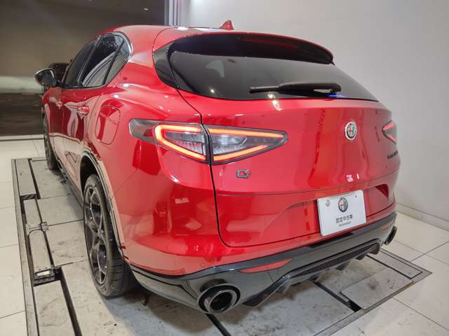 Alfa Romeo Stelvio 8