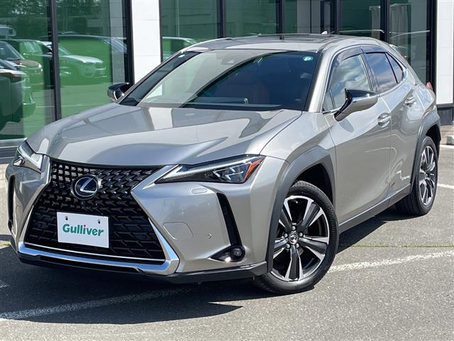 Lexus UX 11