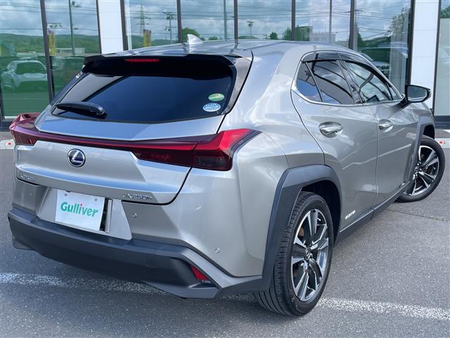 Lexus UX 12