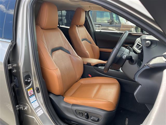 Lexus UX 9