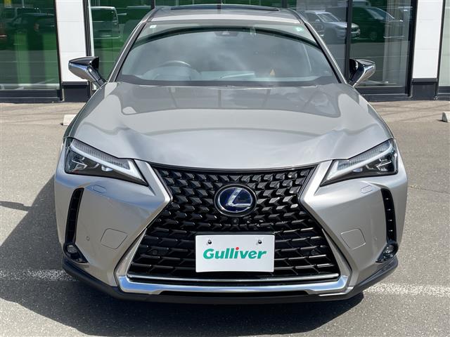 Lexus UX 10
