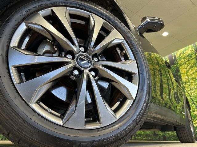 Lexus UX 12