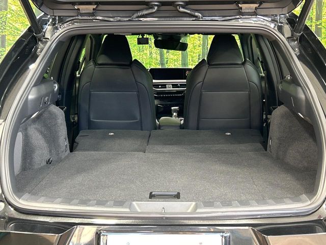 Lexus UX 10