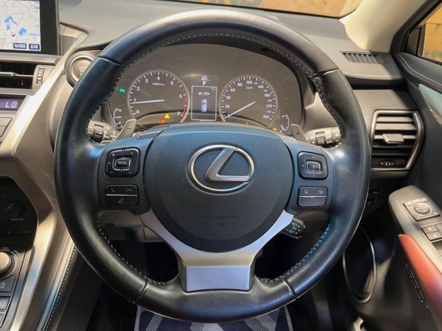 Lexus NX 11