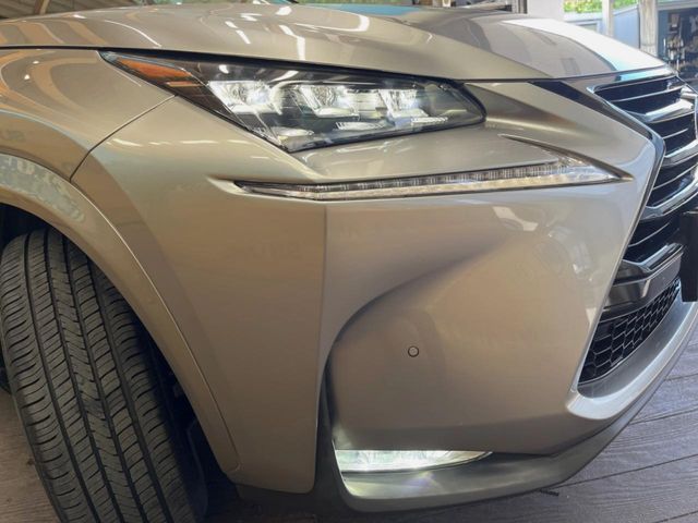 Lexus NX 12