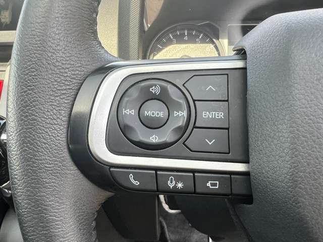 Daihatsu Taft 11