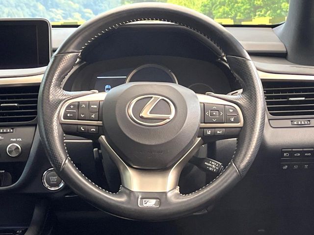 Lexus RX 11