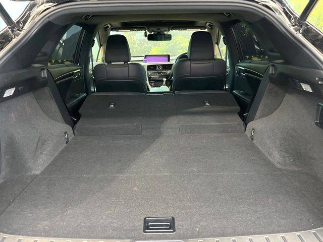 Lexus RX 10