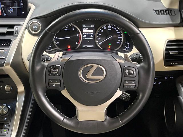 Lexus NX 12