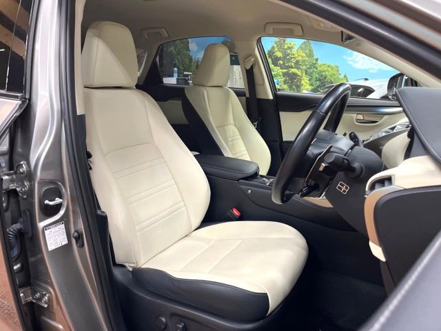 Lexus NX 9