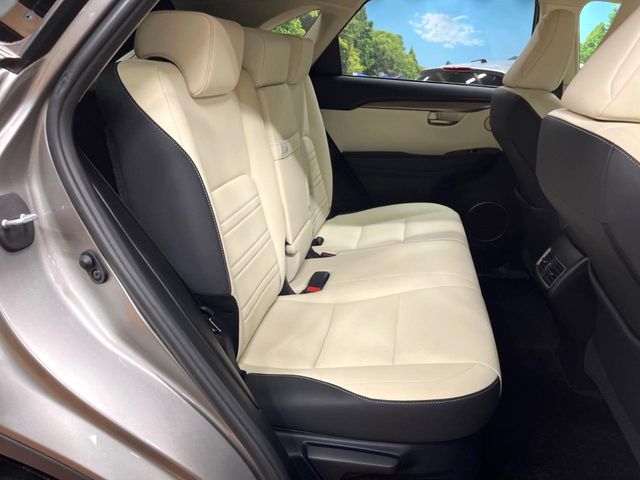 Lexus NX 10