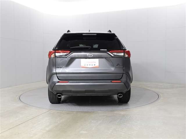 Toyota RAV4 6