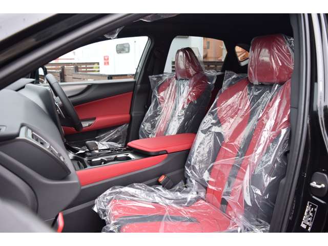 Lexus NX 3