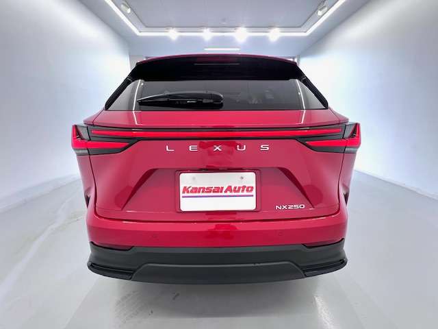 Lexus NX 5