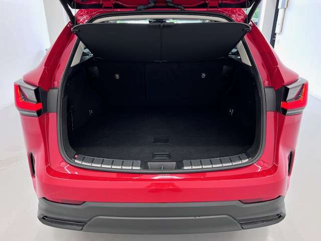 Lexus NX 8