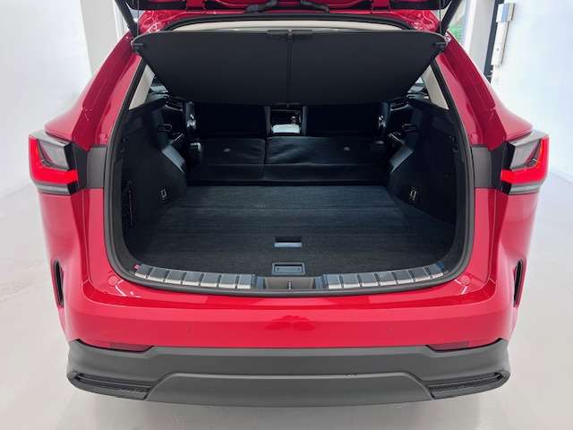 Lexus NX 9