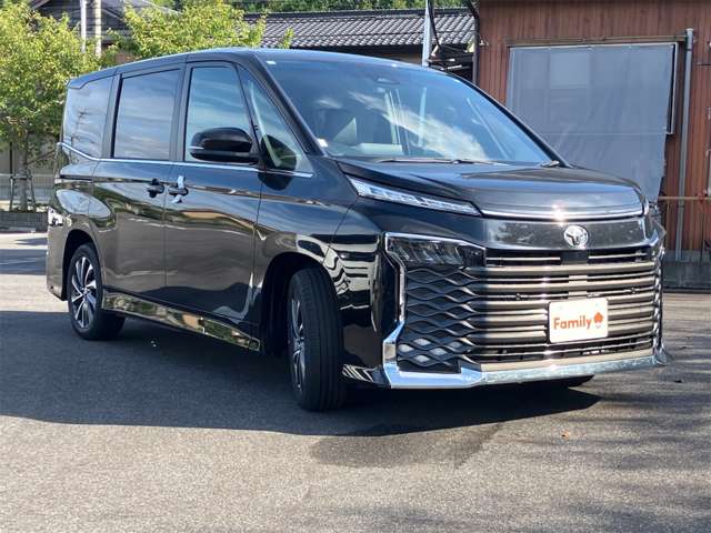 Toyota Voxy 8