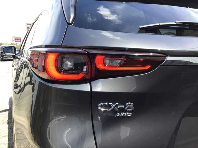 Mazda CX-8 10