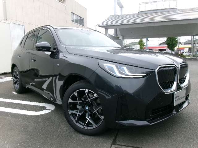 BMW X3 8