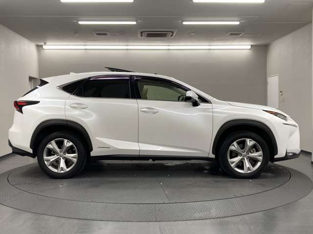 Lexus NX 11