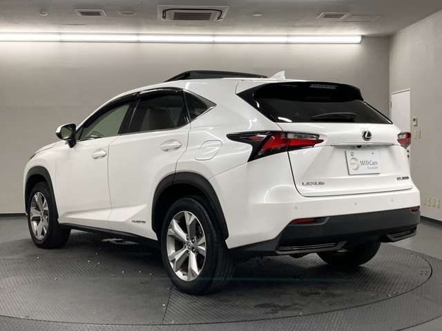 Lexus NX 12