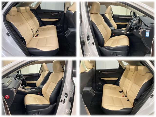 Lexus NX 3