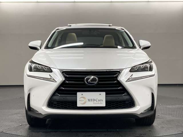 Lexus NX 8