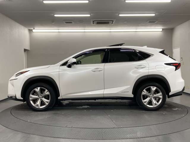 Lexus NX 10
