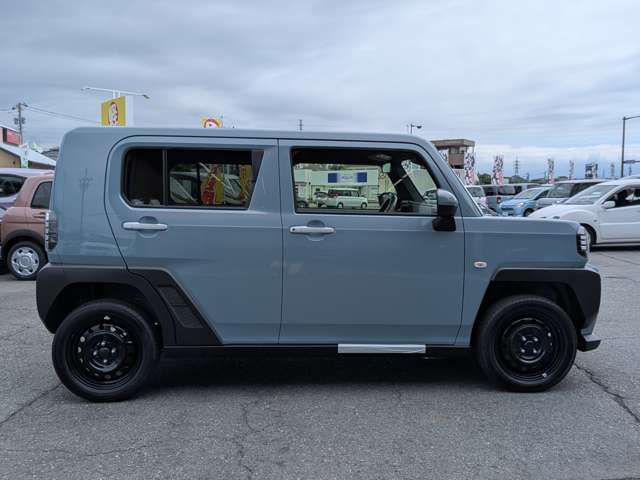 Daihatsu Taft 8
