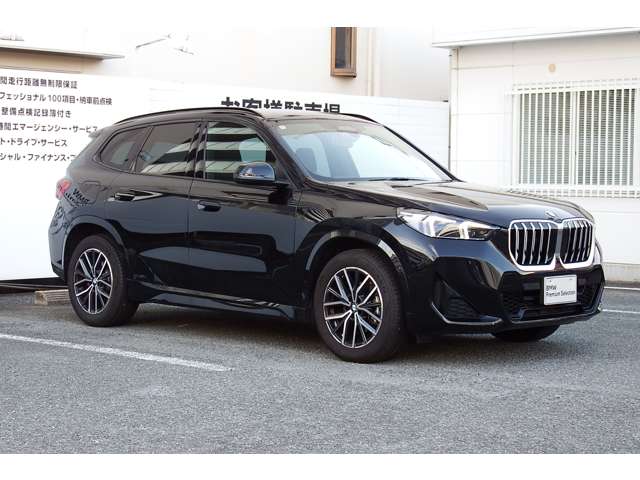 BMW X1 9