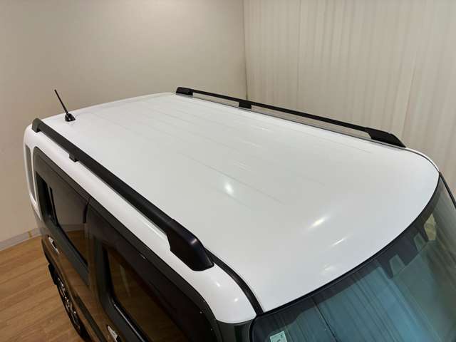 Suzuki Hustler 11