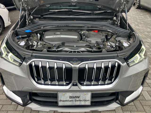 BMW X1 10