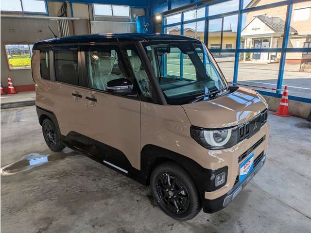 Mitsubishi Delica Mini 3