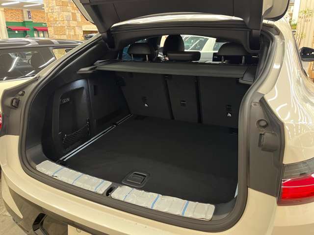 BMW X4 10