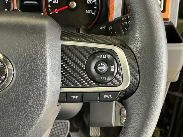 Daihatsu Taft 8