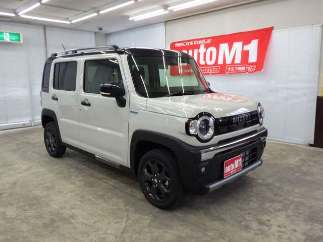 Suzuki Hustler 6