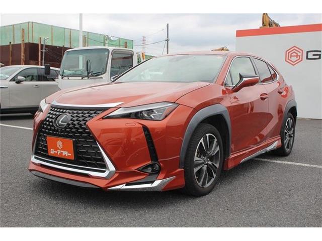 Lexus UX 11