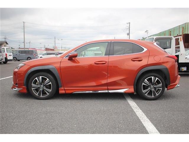 Lexus UX 12