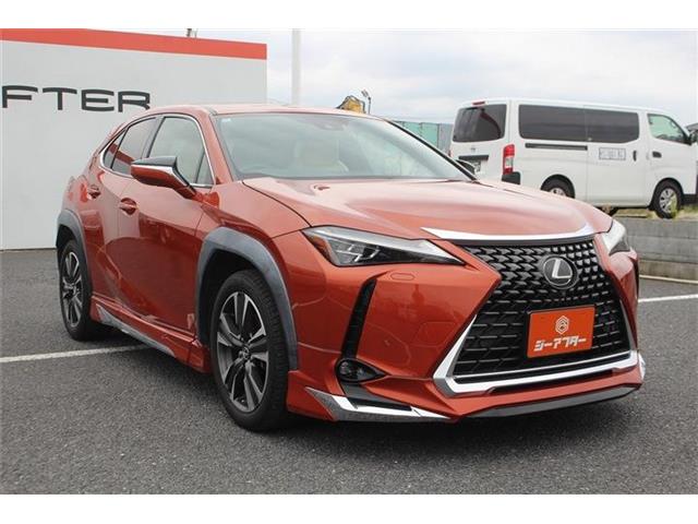 Lexus UX 9