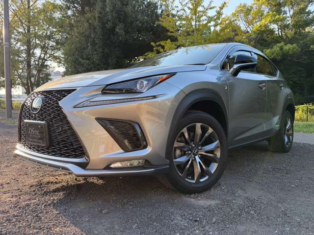 Lexus NX 10