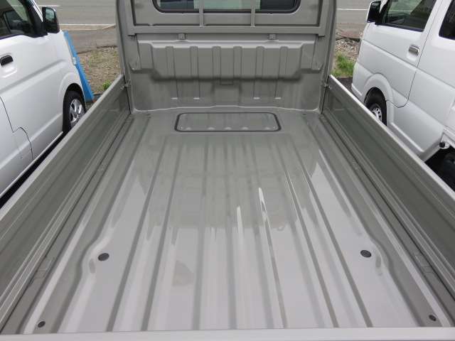 Nissan Clipper Truck 11