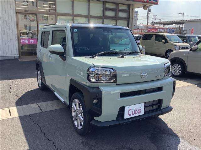 Daihatsu Taft 7