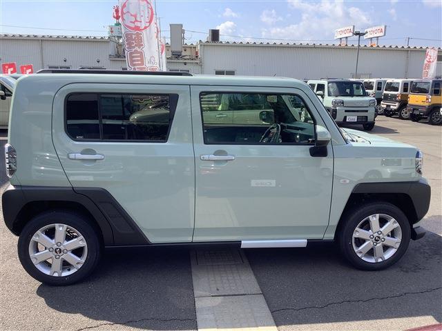 Daihatsu Taft 8